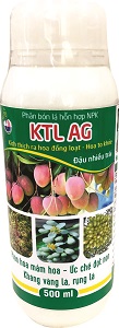 KTL AG